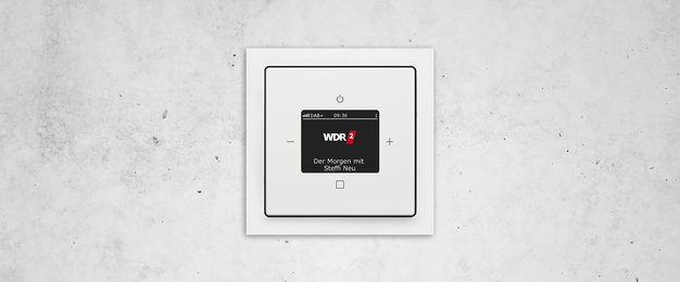 Busch-Radio DAB+ bei Elektro-Hausmann GmbH & Co. KG in Leinefelde-Worbis