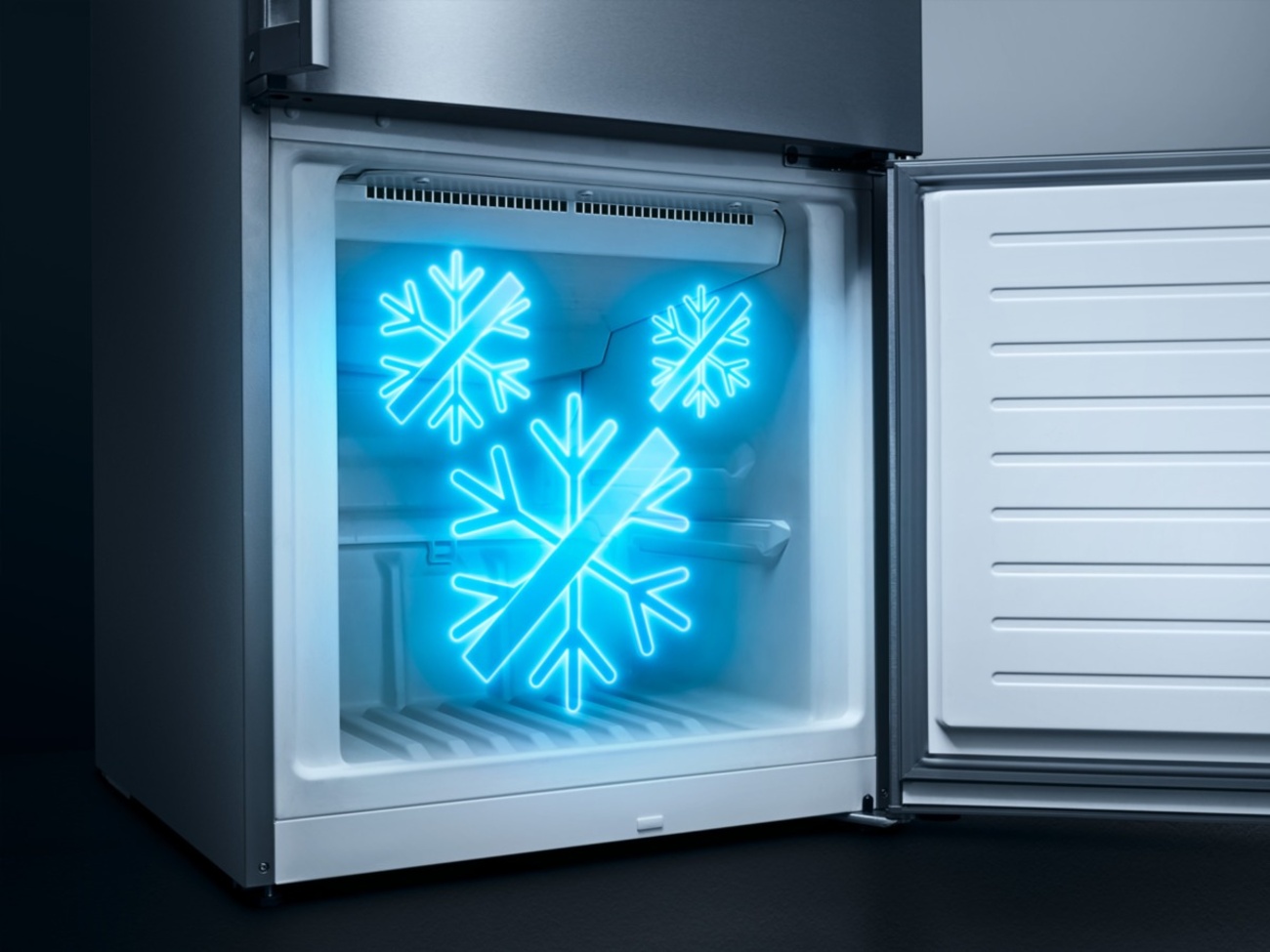 noFrost bei Elektro-Hausmann GmbH & Co. KG in Leinefelde-Worbis