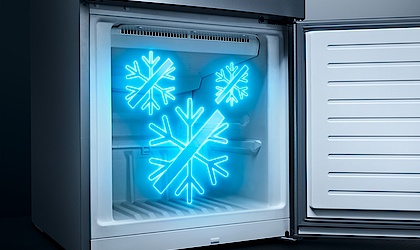 noFrost bei Elektro-Hausmann GmbH & Co. KG in Leinefelde-Worbis
