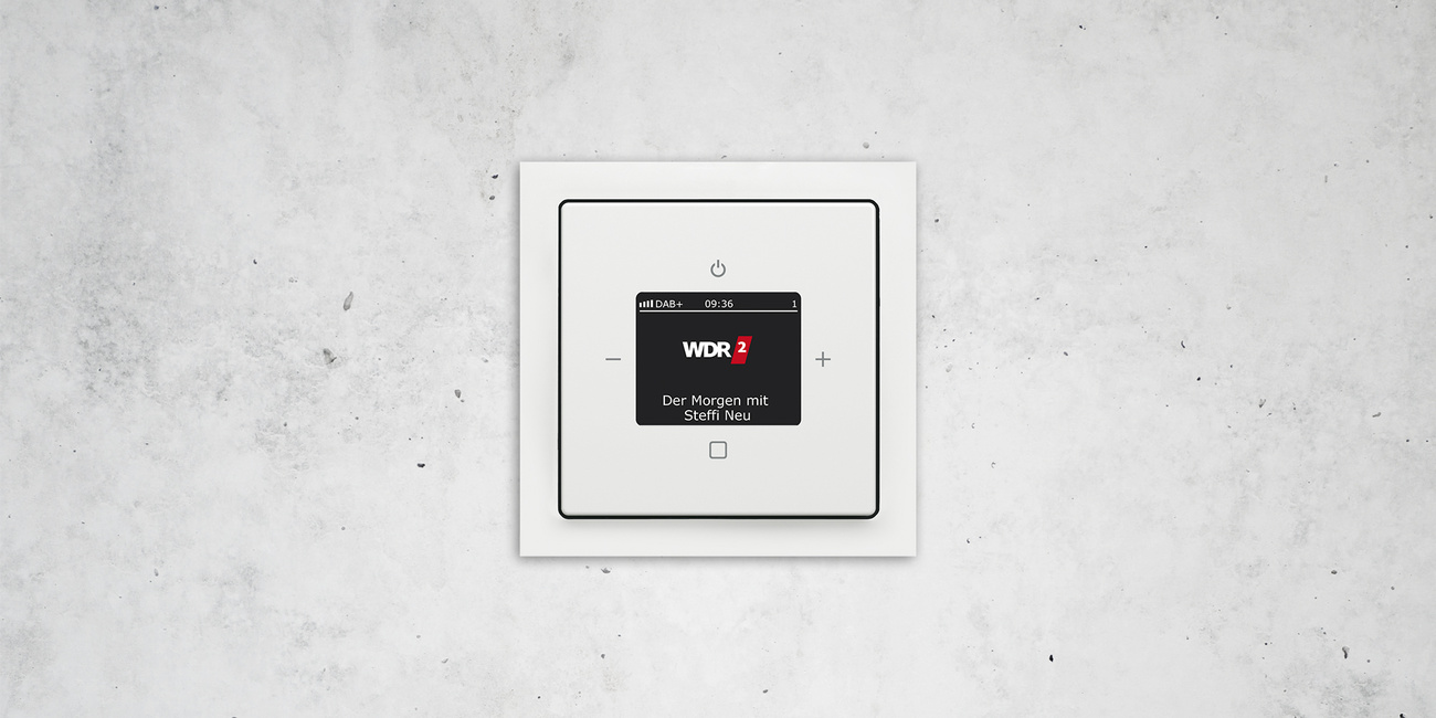 Busch-Radio DAB+ bei Elektro-Hausmann GmbH & Co. KG in Leinefelde-Worbis
