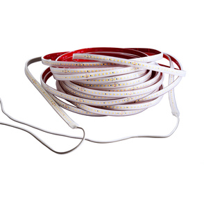 LED Stripes ab IP44 bei Elektro-Hausmann GmbH & Co. KG in Leinefelde-Worbis