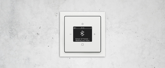Busch-Radio Btconnect bei Elektro-Hausmann GmbH & Co. KG in Leinefelde-Worbis